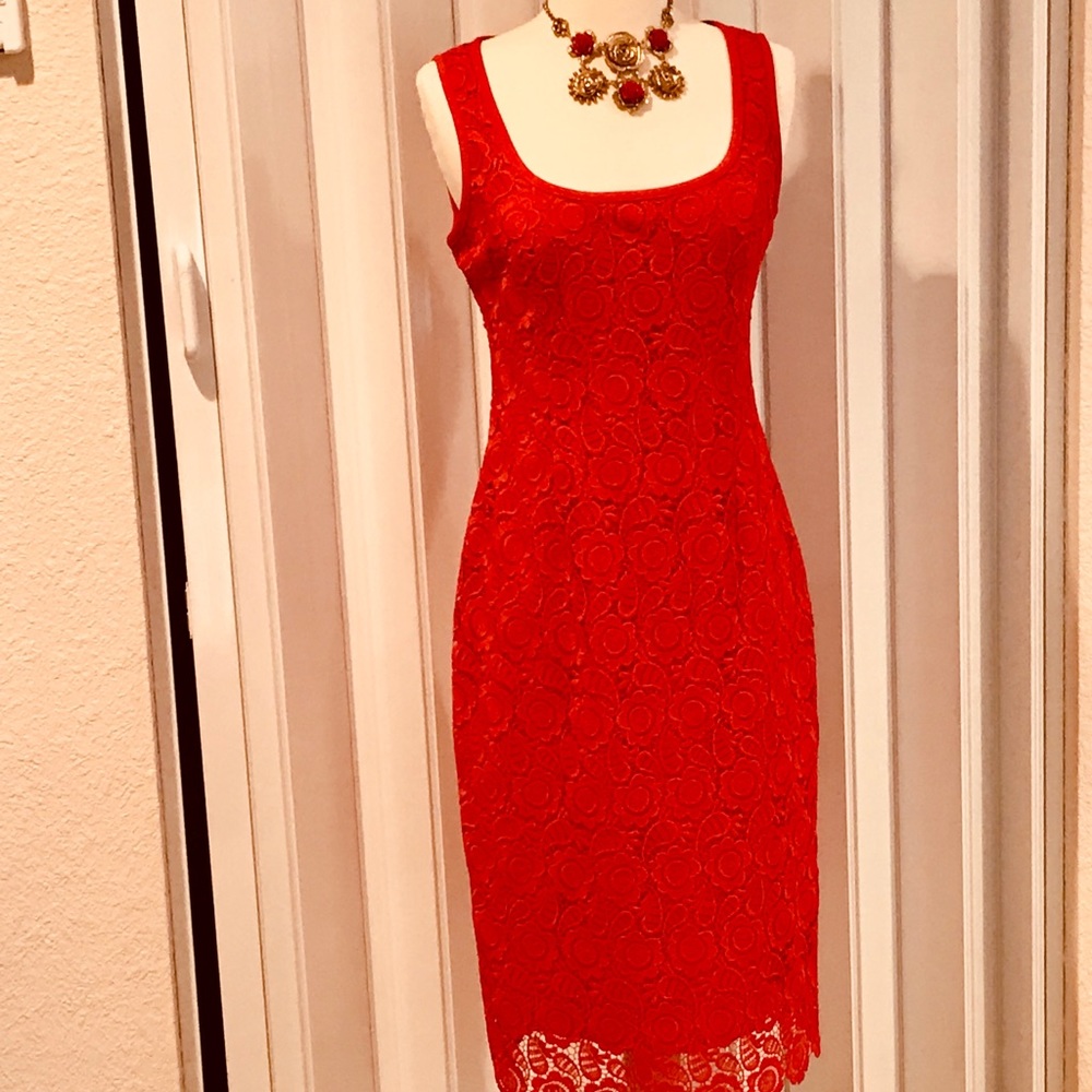NWT Anne Klein lace overlay dress
